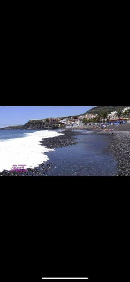 波多·纳奥斯Playa Nieves公寓 外观 照片